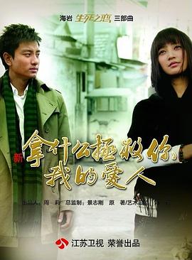 拿什么拯救你，我的爱人（2011）