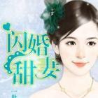 闪婚甜爱