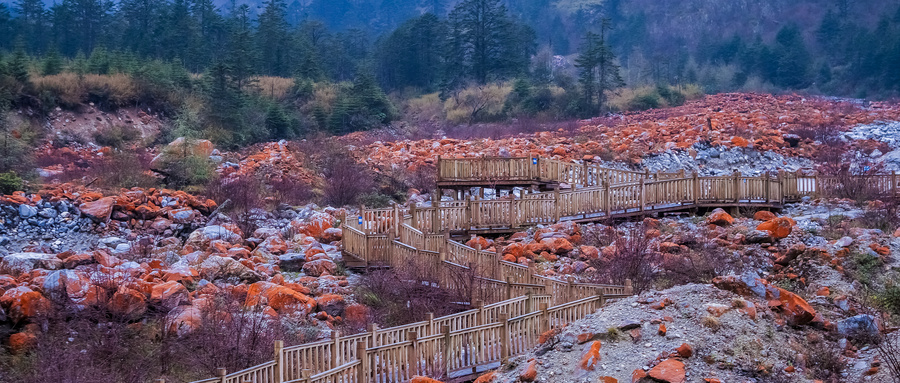 四川有哪些景点值得一游