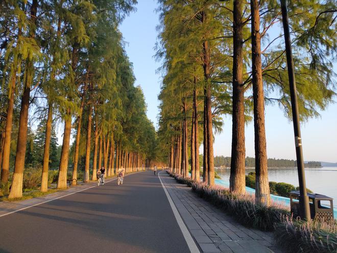 在武汉的东湖骑行，是一种怎样的体验？