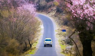 适合春季旅游的地方