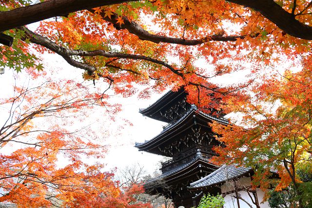 欣赏枫叶的好地方，秋季的京都怎么能错过呢？