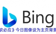 《微软必应》今日图像设为主页背景方法