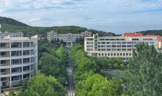 山东大学在哪个城市 山东大学在哪个城市呢