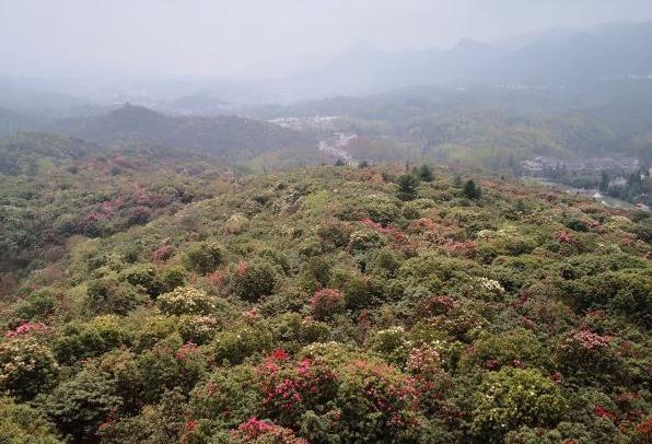 贵州有哪些避暑的地方 贵州避暑哪里好