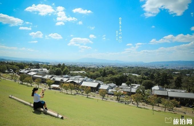 奈良一日游怎么安排为好 奈良旅游必去景点