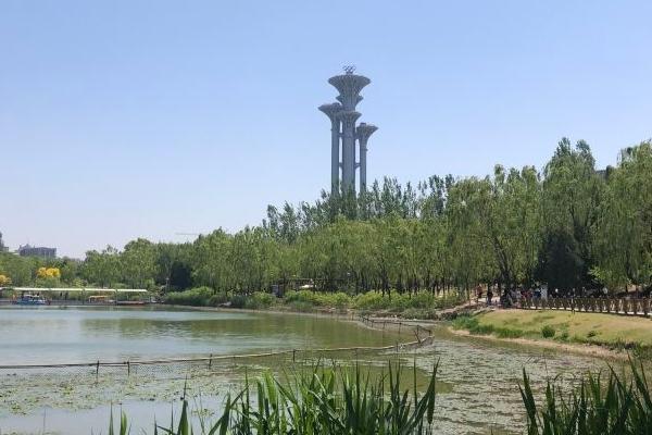 北京值得打卡的公园有哪些（奥林匹克森林公园攻略）