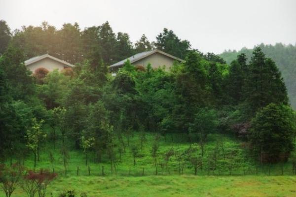 重庆8月份适合旅游的地方有哪些