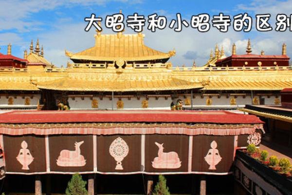 小昭寺与大昭寺区别（区别是什么攻略）