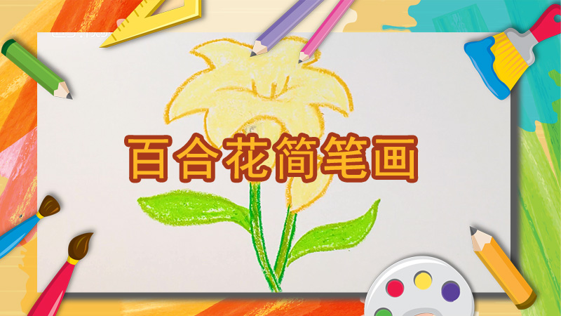 卡通百合花简笔画