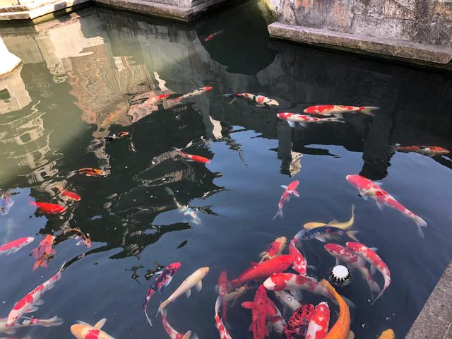 溧水一日游必去景点（南京周边一日游推荐溧水周园）