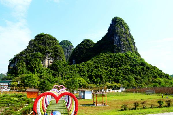 贵阳春季赏花旅游景点2023