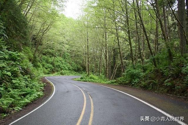 旅行自由行好还是跟团好（跟团旅行和独立旅行）