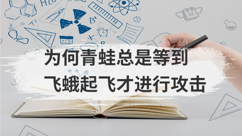 学前教育可以教小学吗