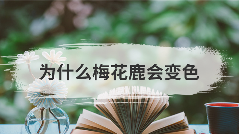 学阮公体三首其二赏析