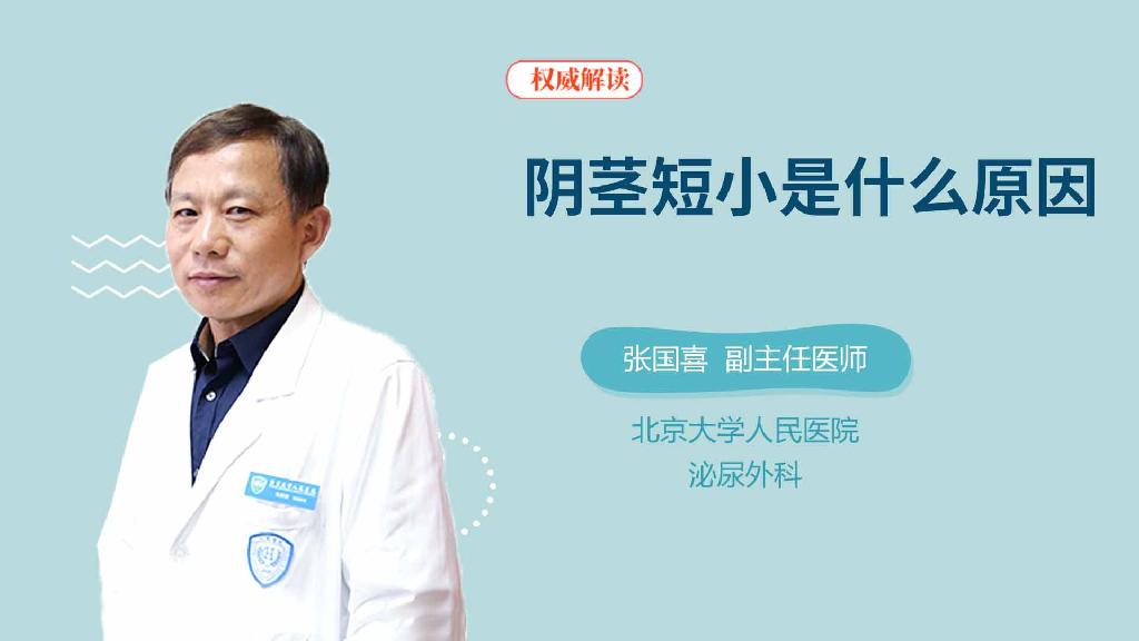 阴茎短小是什么原因