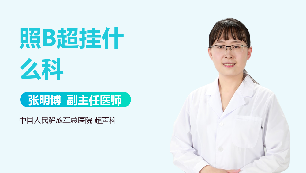 照B超挂什么科
