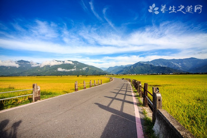 从衣食住行来看健康的有机生活