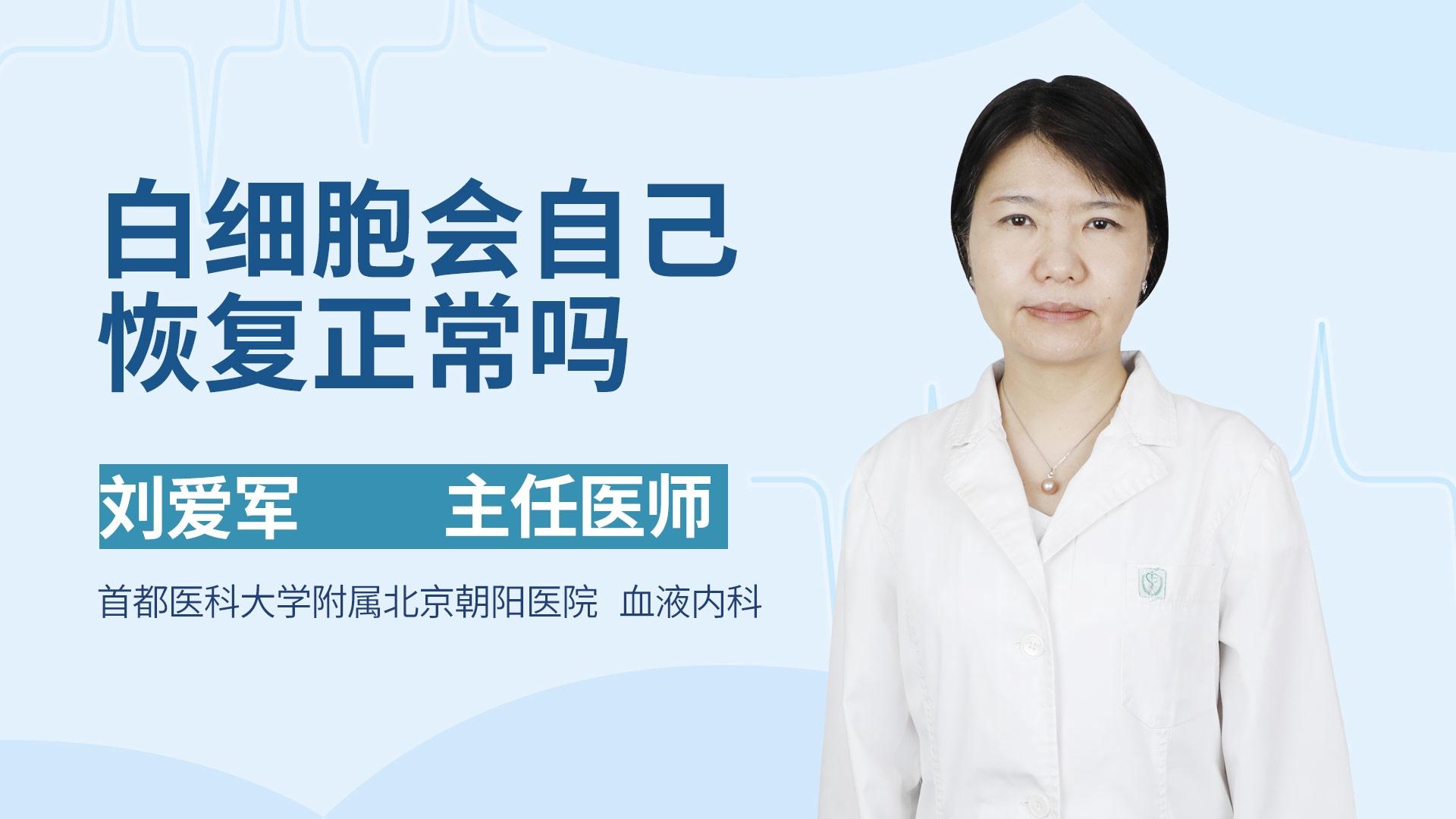 白细胞会自己恢复正常吗