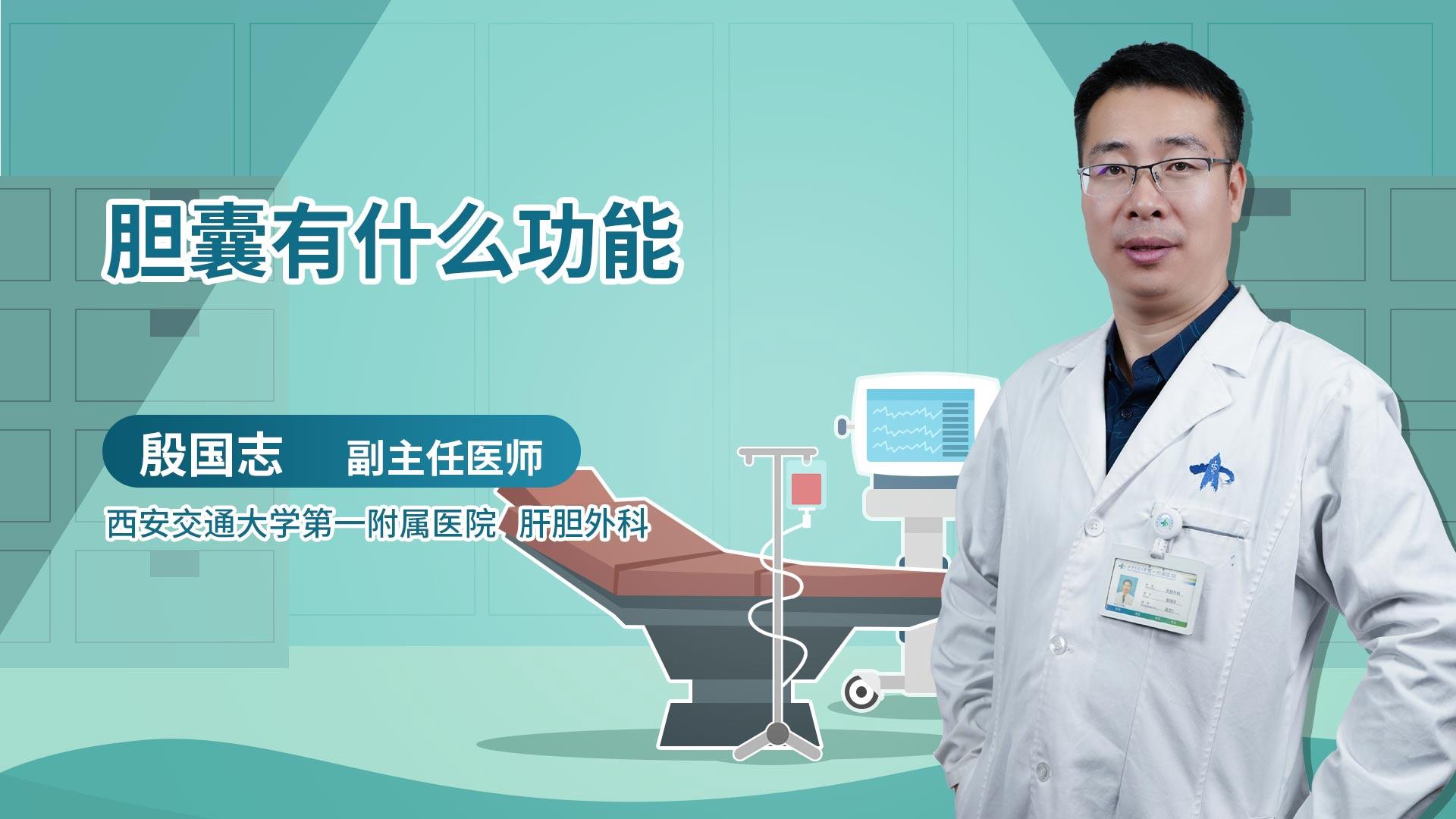 胆囊有什么功能