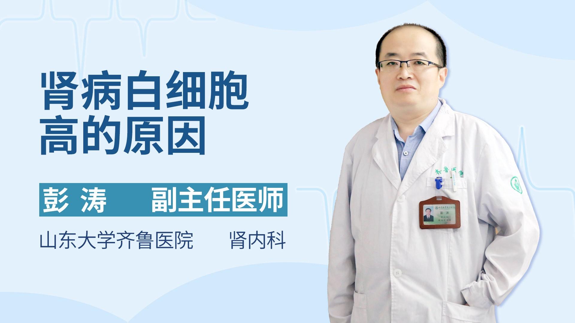 肾病白细胞高的原因