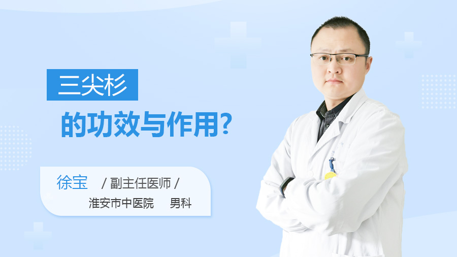三尖杉的功效与作用