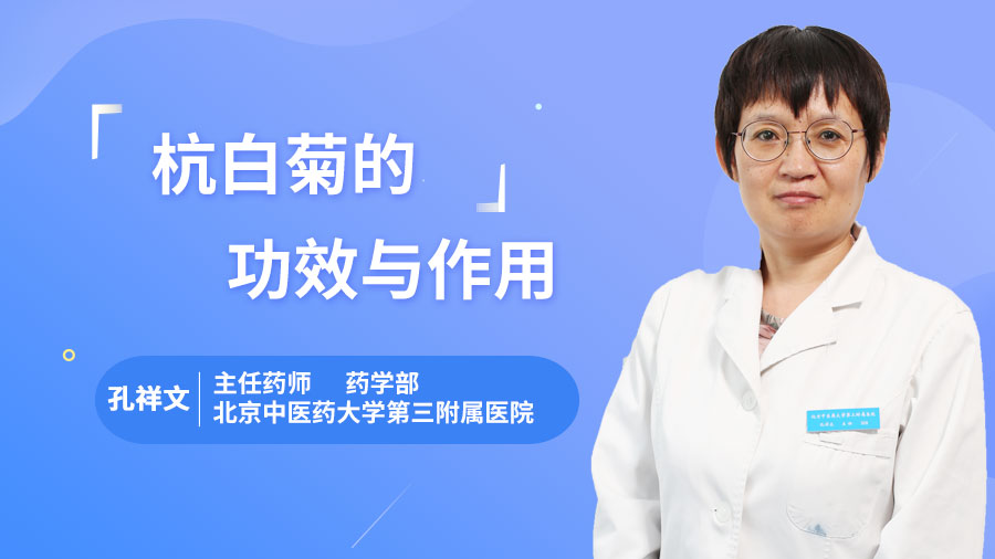 杭白菊的功效与作用