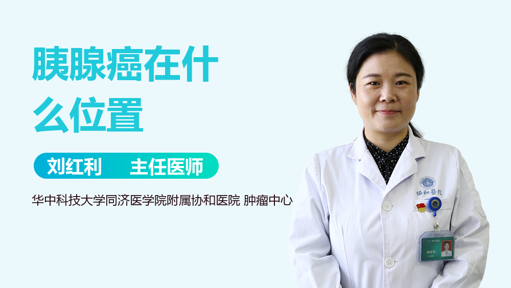 胰腺癌在什么位置