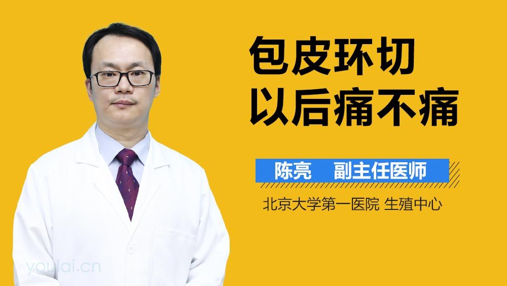包皮环切以后痛不痛