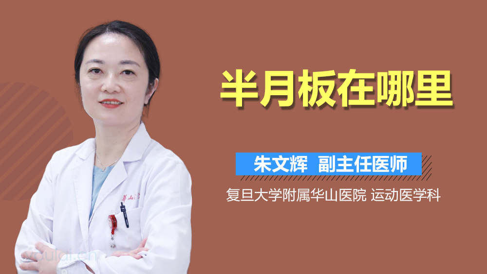 半月板在哪里