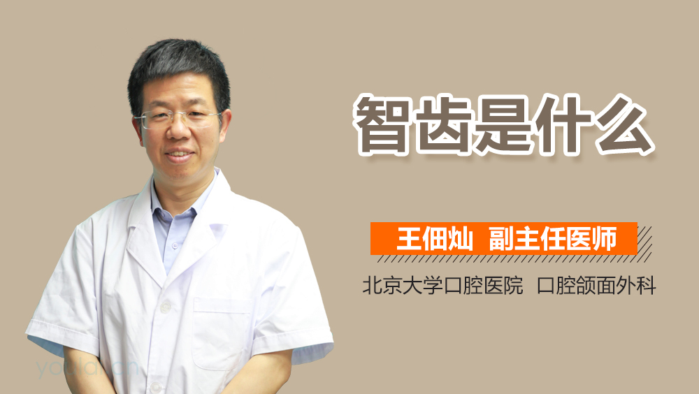智齿是什么