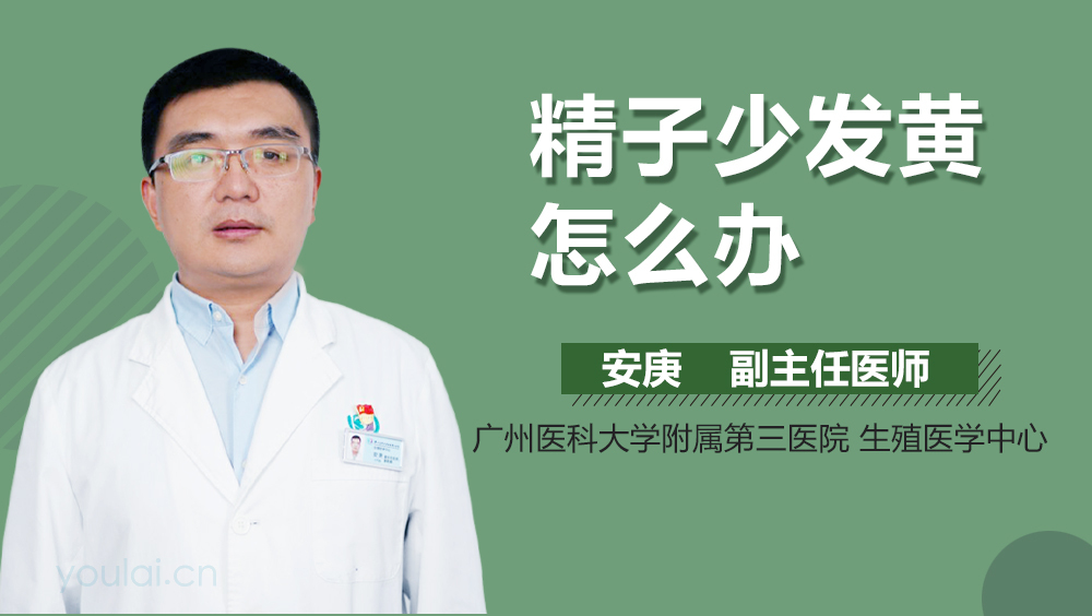 精子少发黄怎么办