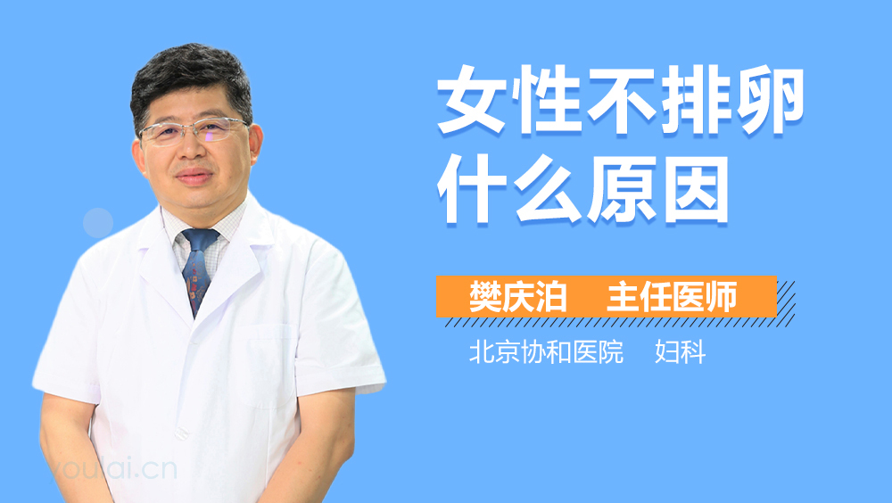 女性不排卵什么原因