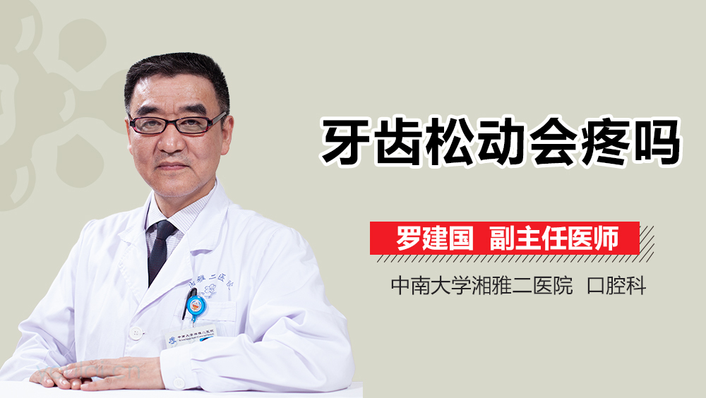 牙齿松动会疼吗