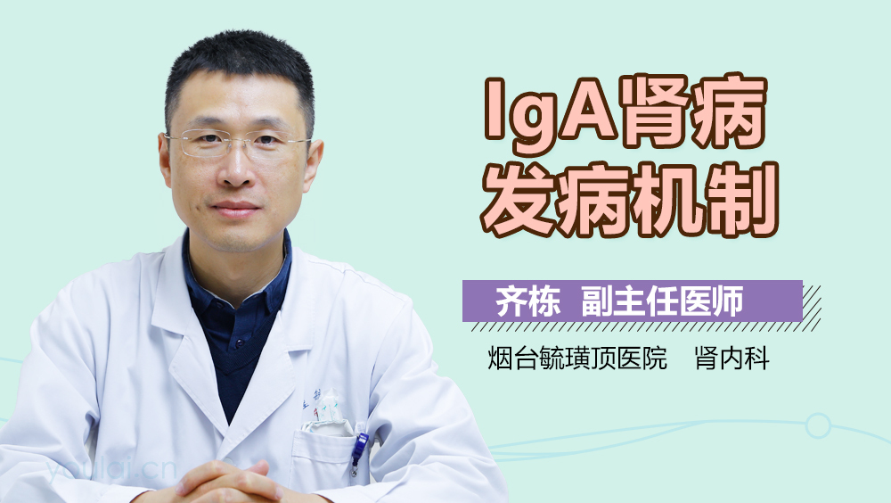 IgA肾病发病机制