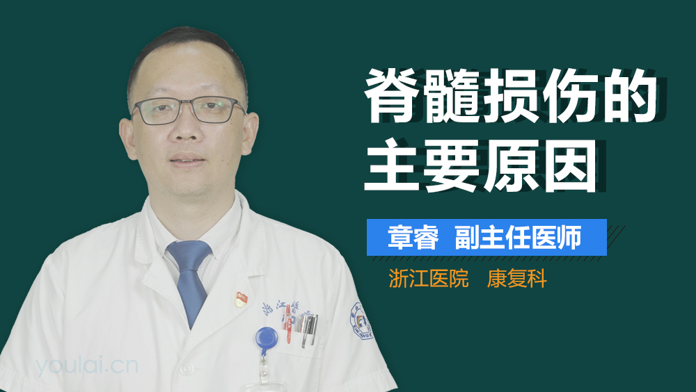 脊髓损伤的主要原因