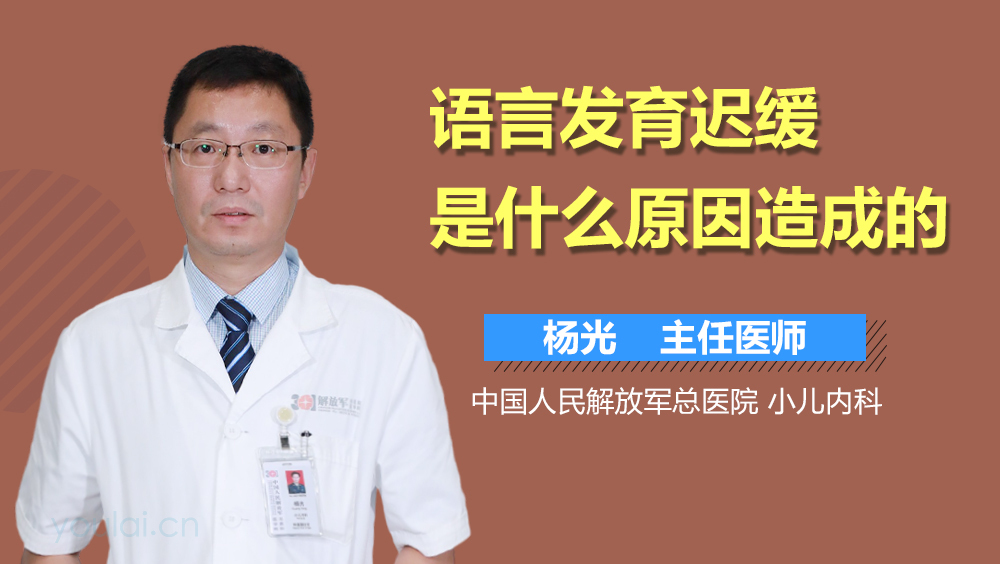语言发育迟缓是什么原因造成的