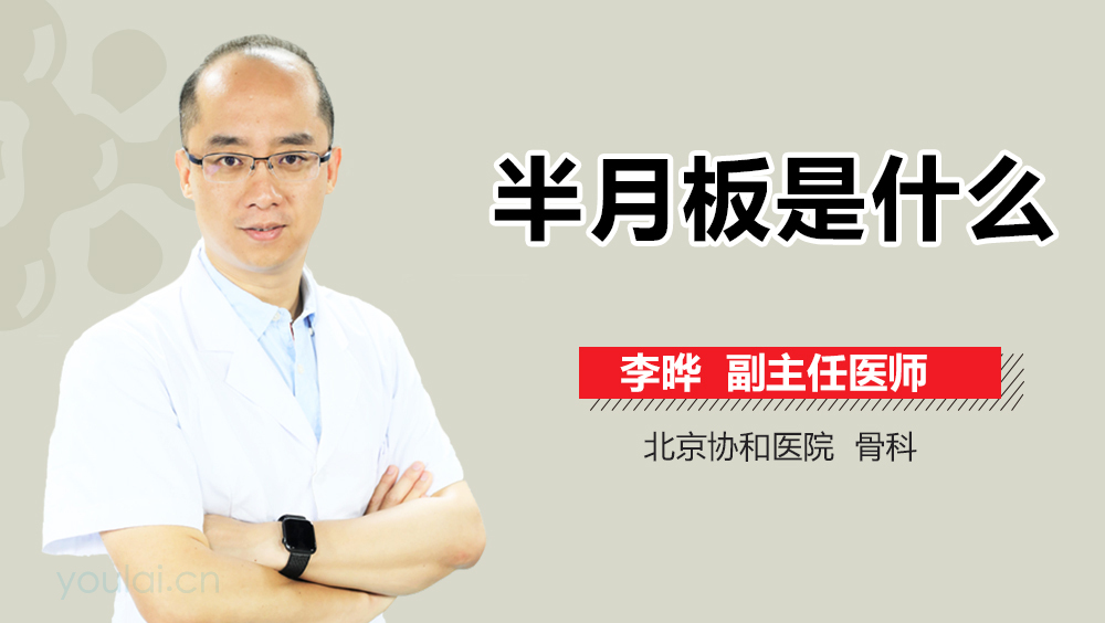 半月板是什么