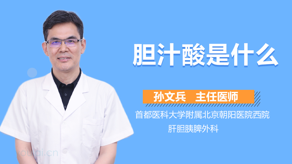 胆汁酸是什么