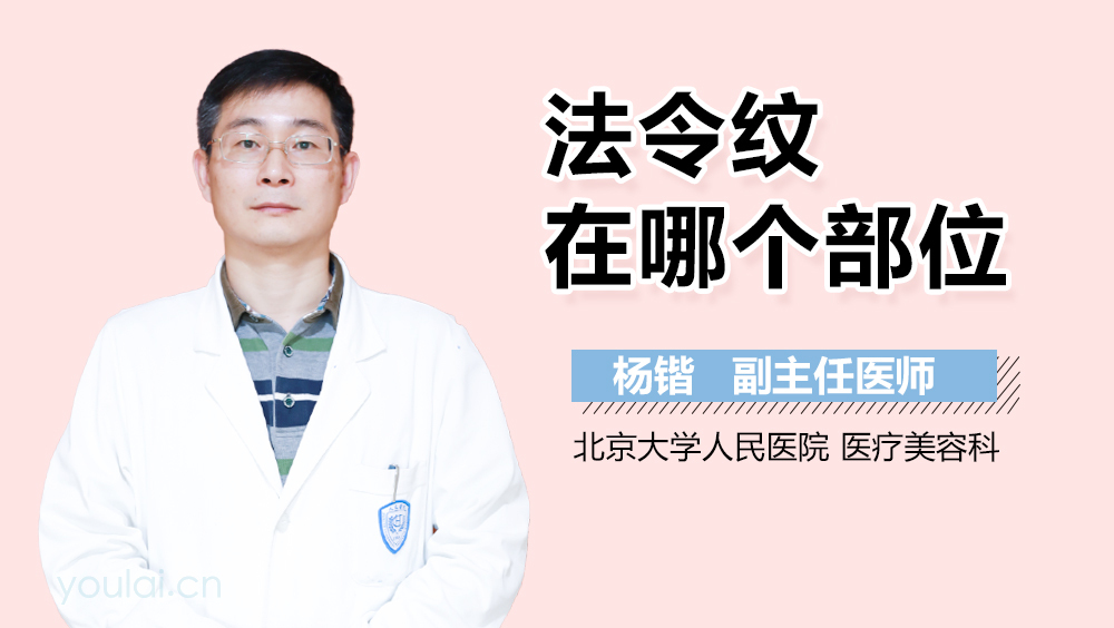 法令纹在哪个部位