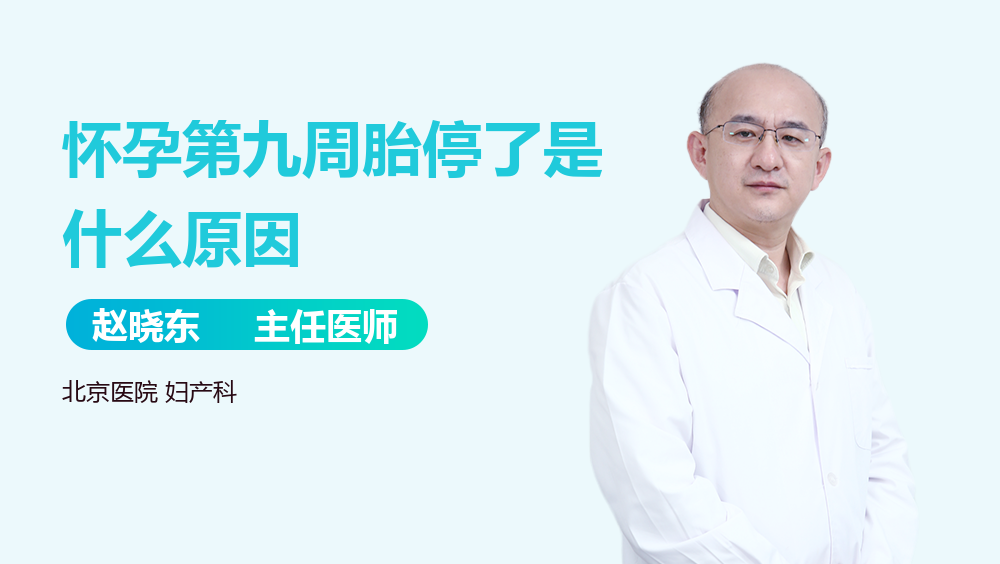 怀孕第九周胎停了是什么原因