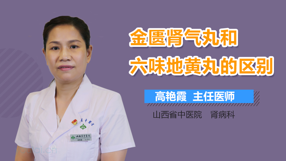 金匮肾气丸和六味地黄丸的区别