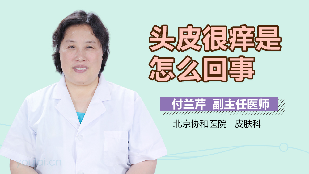 头皮很痒是怎么回事