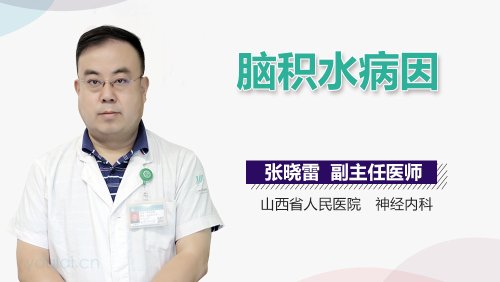 脑积水病因