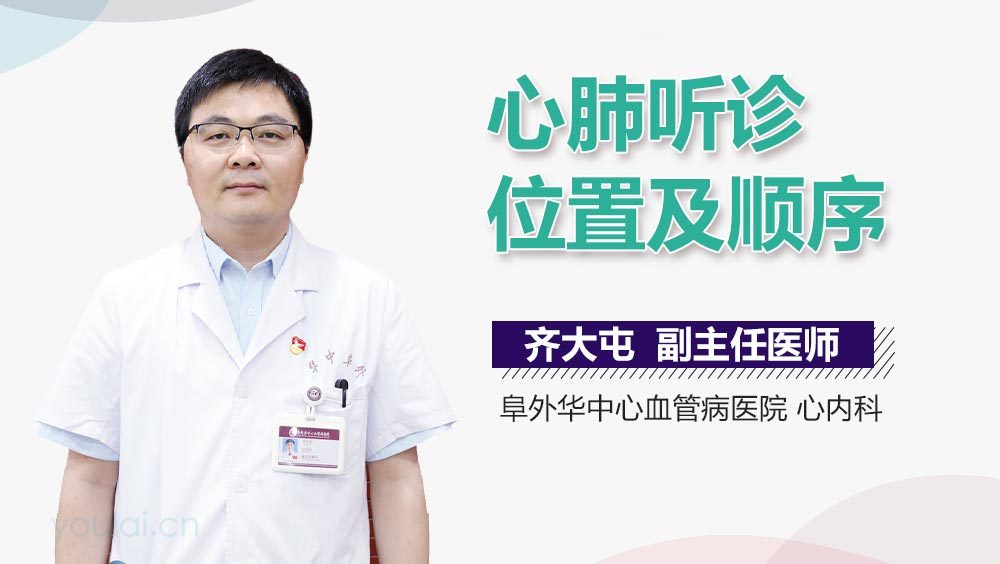 心肺听诊位置及顺序
