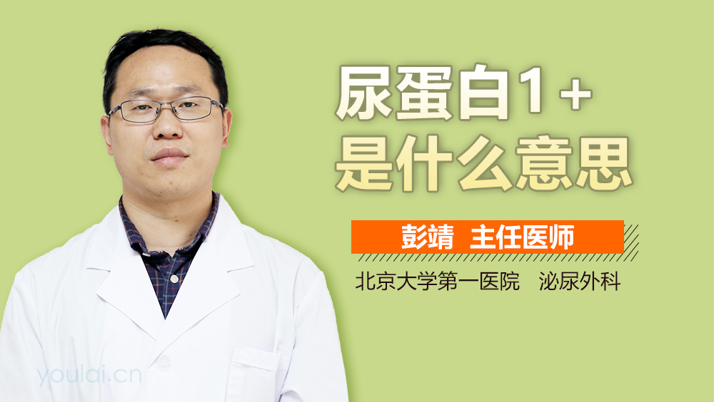尿蛋白1+是什么意思