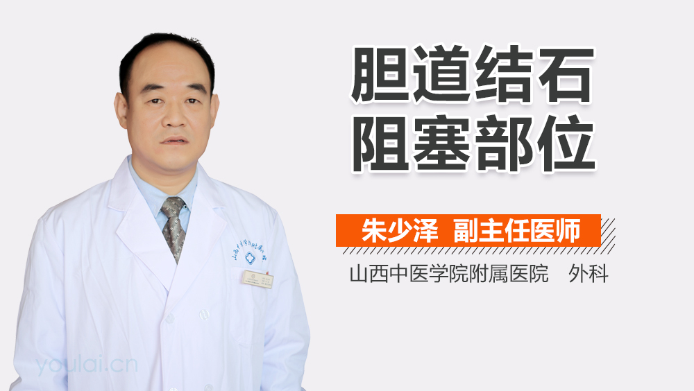 胆道结石阻塞部位