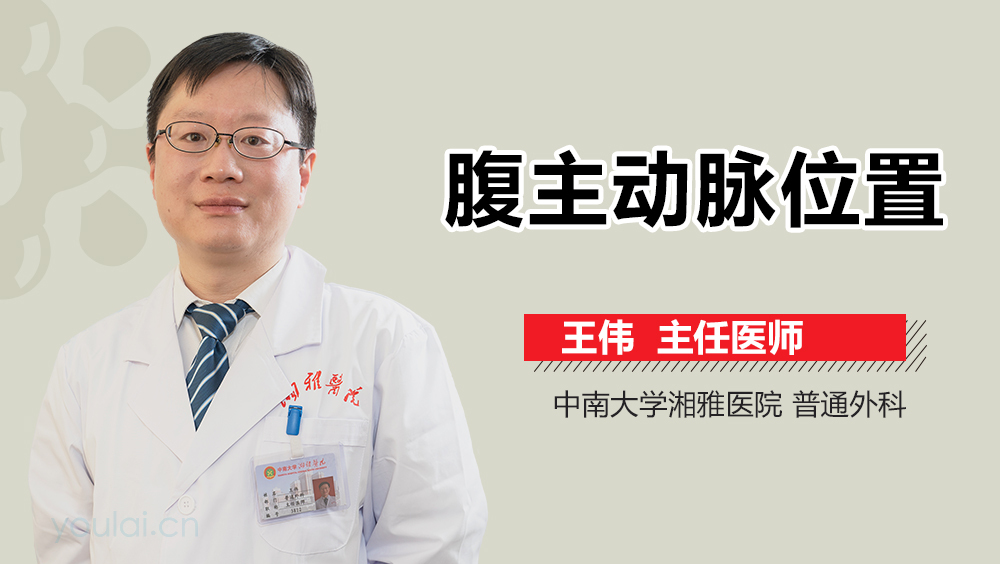 腹主动脉位置