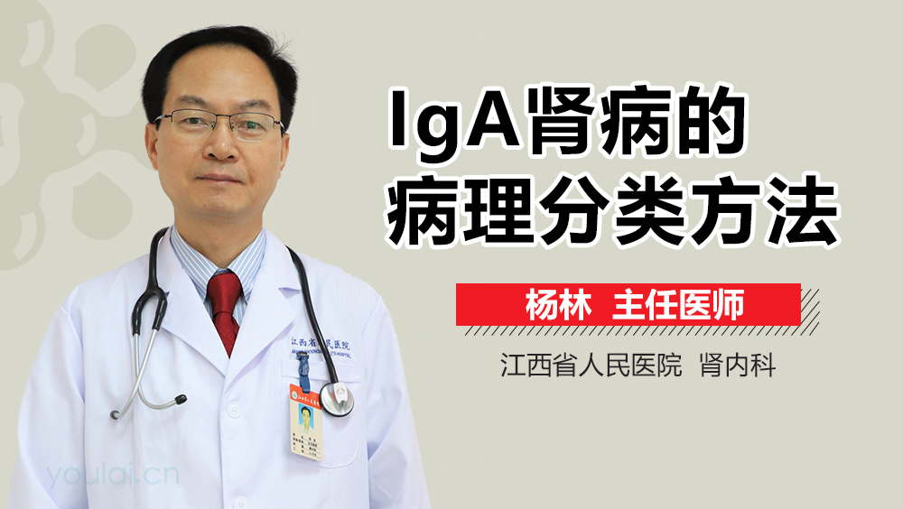 IgA肾病的病理分类方法