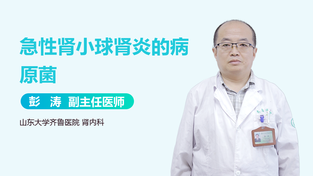 急性肾小球肾炎的病原菌